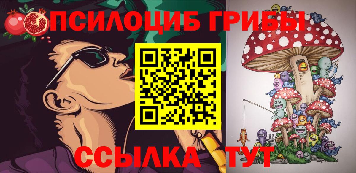 Ангарск  Галлюциногенные грибы Psilocybe  Вход с VPN 